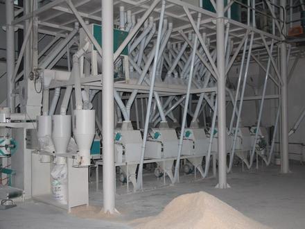 50-60t 小麦面粉加工生产线