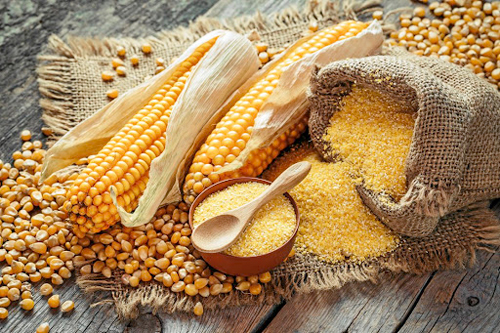 非洲玉米加工设备的潜力分析